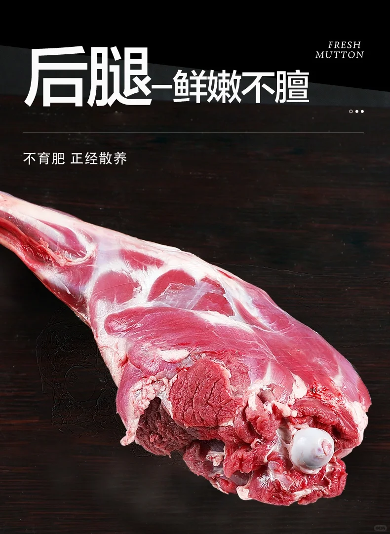 ?����̲����ֻ������������