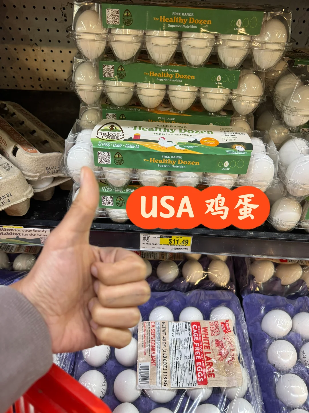 USA 