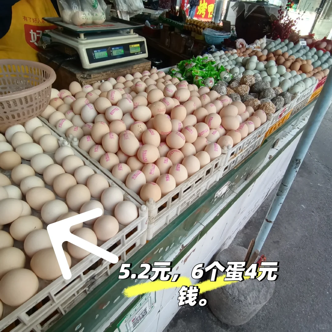 �ɶ��img.bim99.cn tiktokrefugee