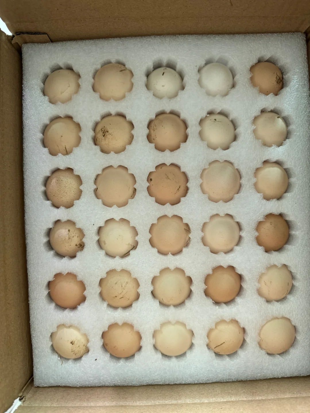 2һ