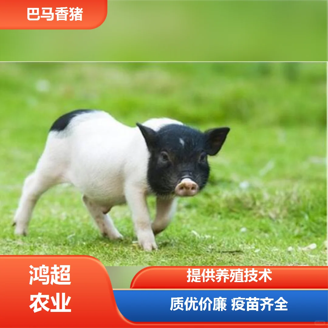 img.bim99.cn�������۸�"