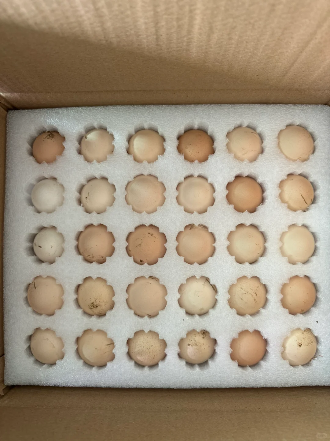 2һ