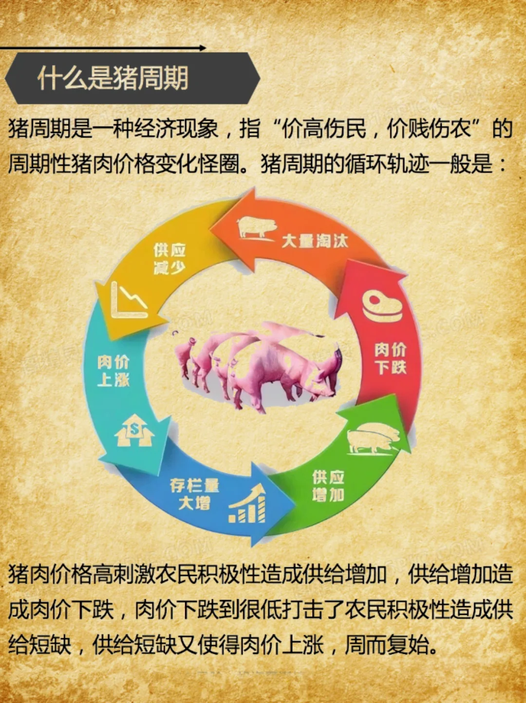 С֪ʶ11ڣ