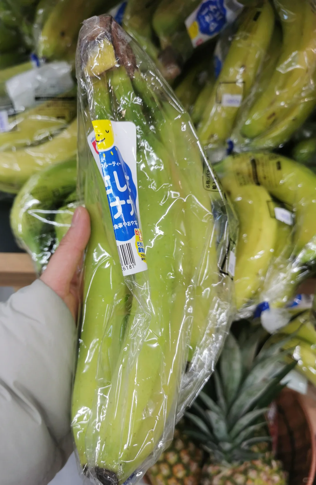 ţͷ���µ꿪ҵ��������ܥ�� 1.16��19����