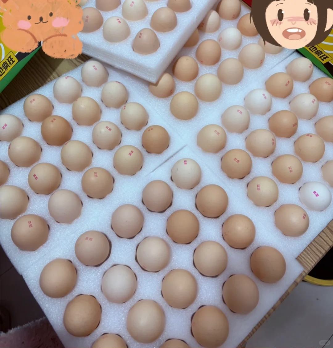 �ֲ��ó�������������