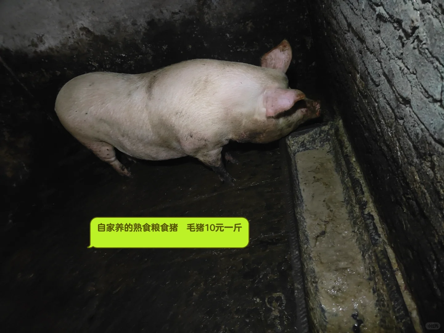 ���� �Լ����img.bim99.cn�10Ԫһ��