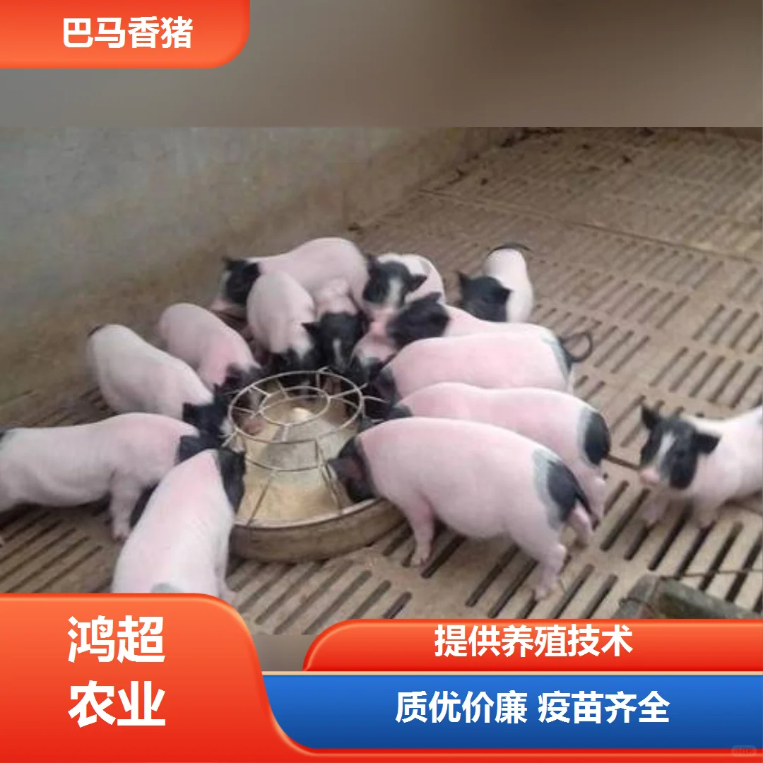 ¤���img.bim99.cn/p><p style=