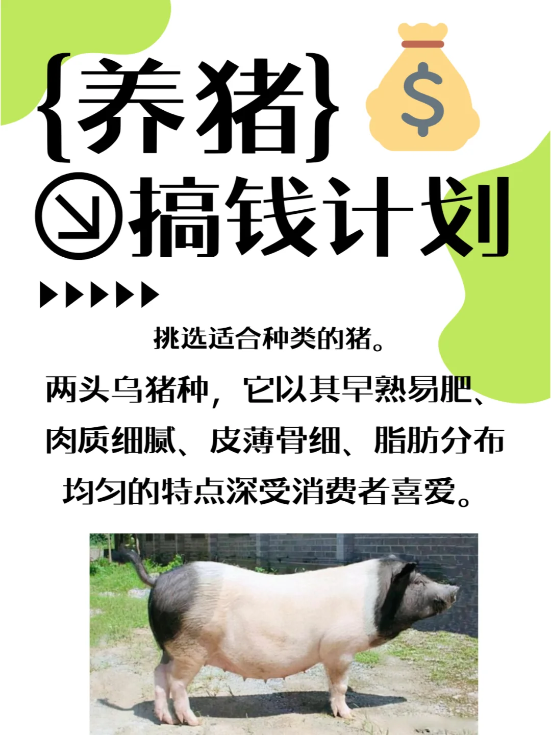 ������������ũ���˸�Ǯimg.bim99.cn���