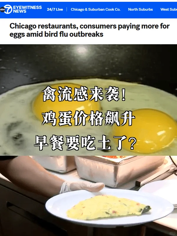 ��������Ϯ�������۸���������Ҫ�����ˣ�