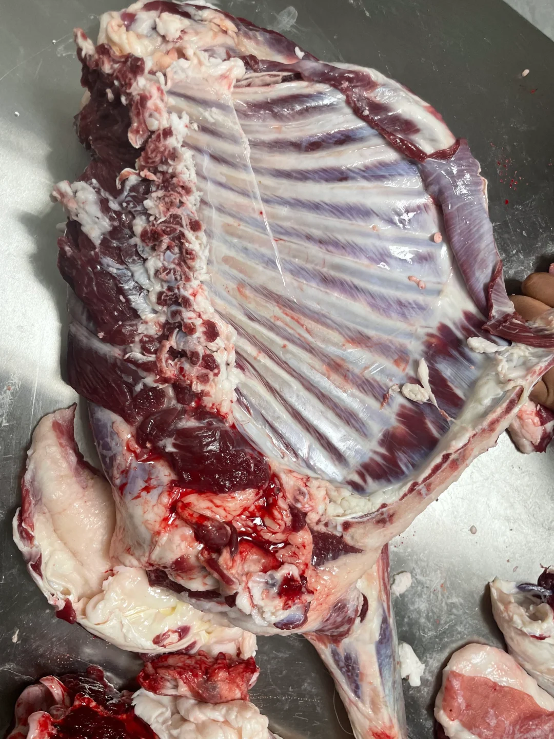 �Ұimg.bim99.cn�����������û����