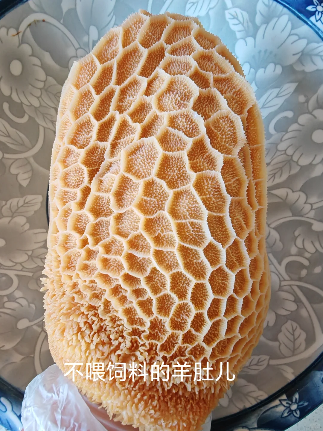 ˭˵����û�к��img.bim99.cnp style=