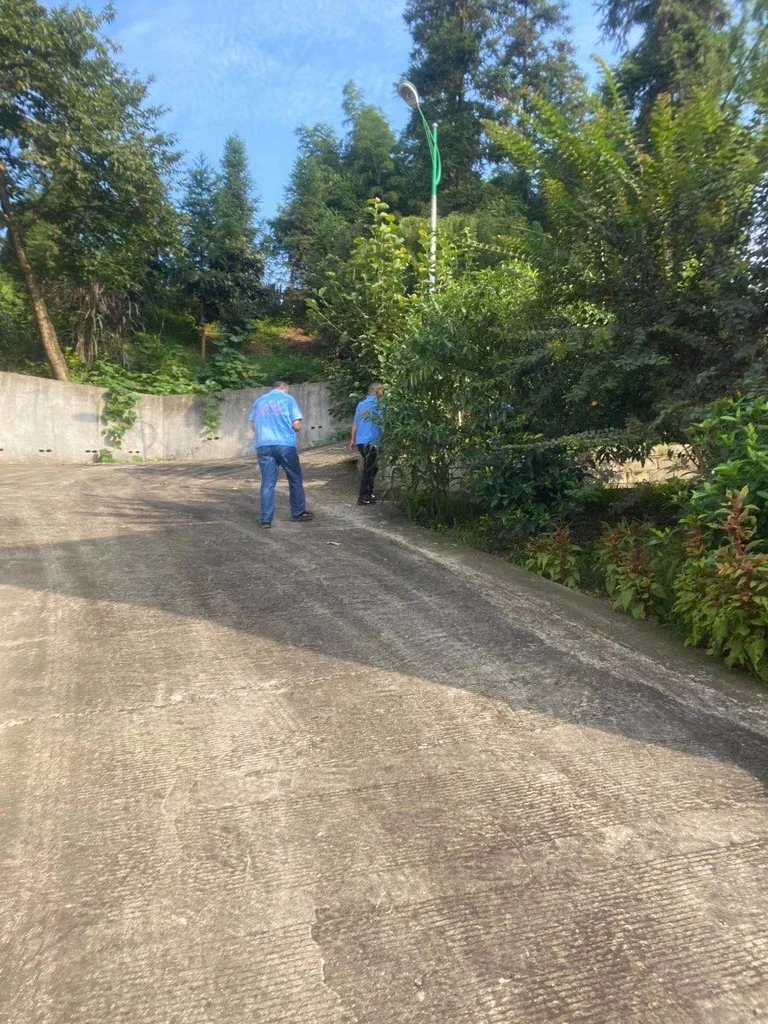 ξã