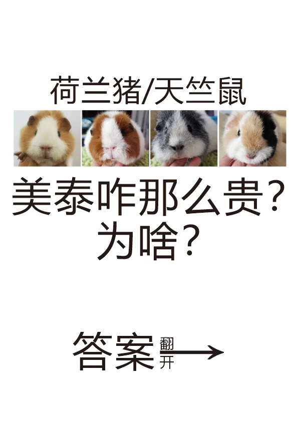 ̩ļ۸Щ
