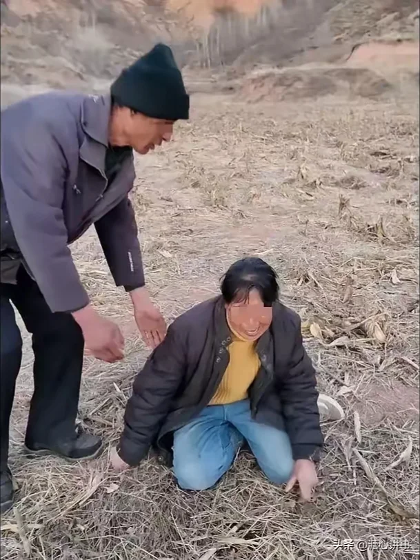 羊死了这么多,以后的生活可怎么维持