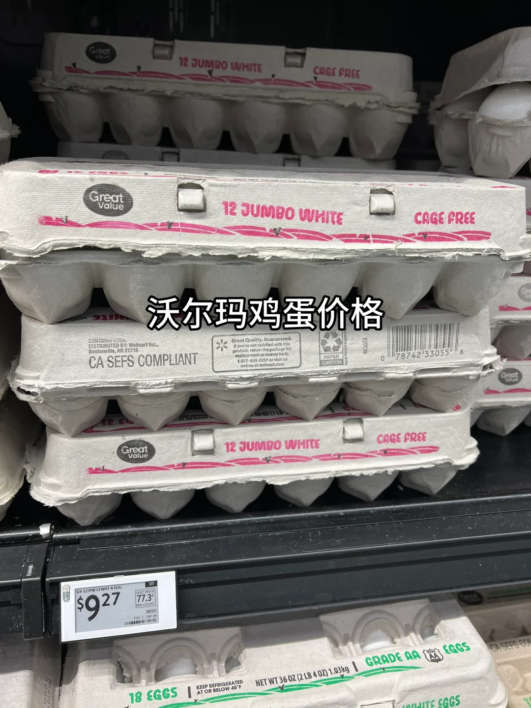 ȱ¾˼۸ļ?