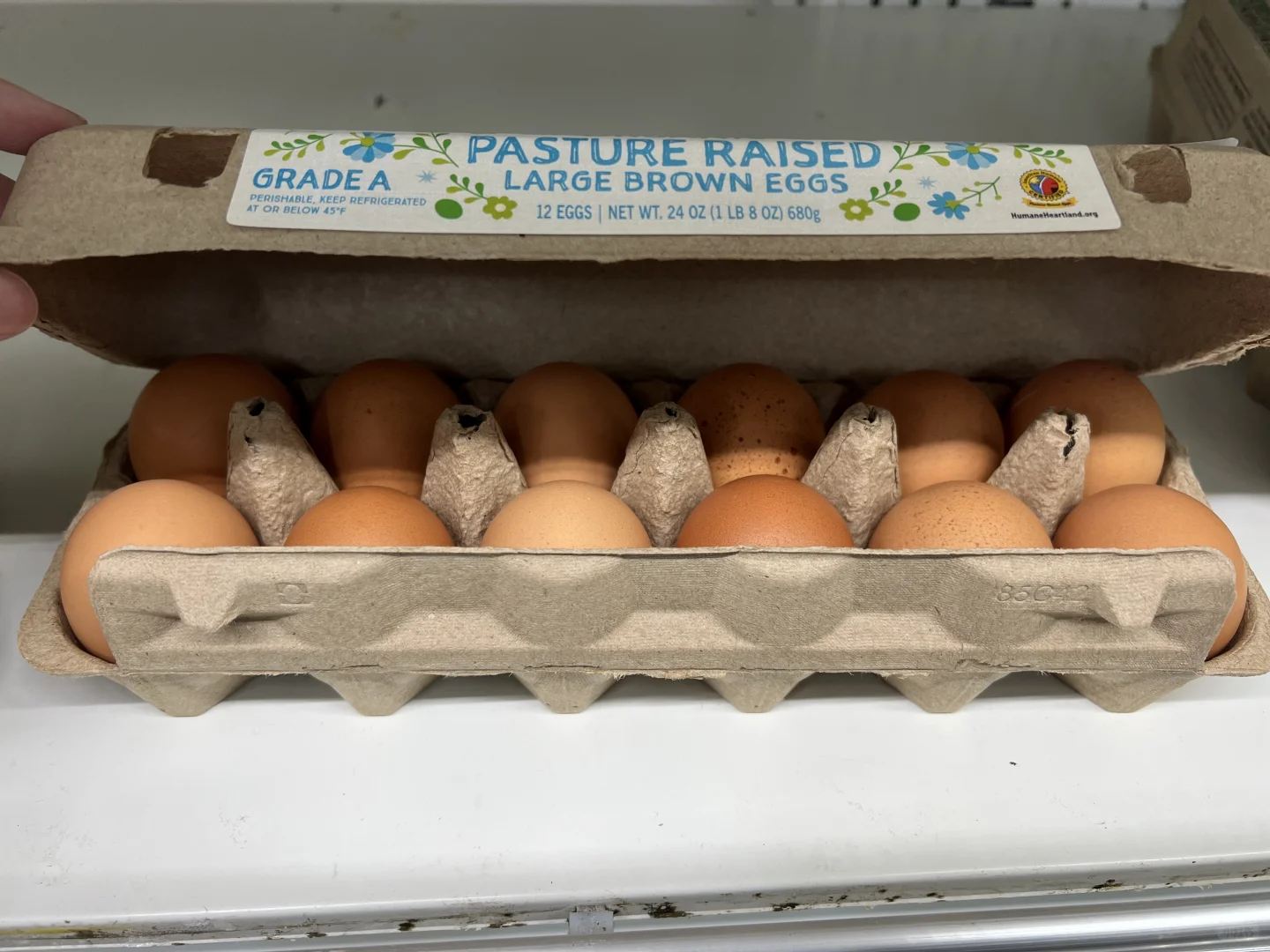 ȱ¾˼۸ļ?