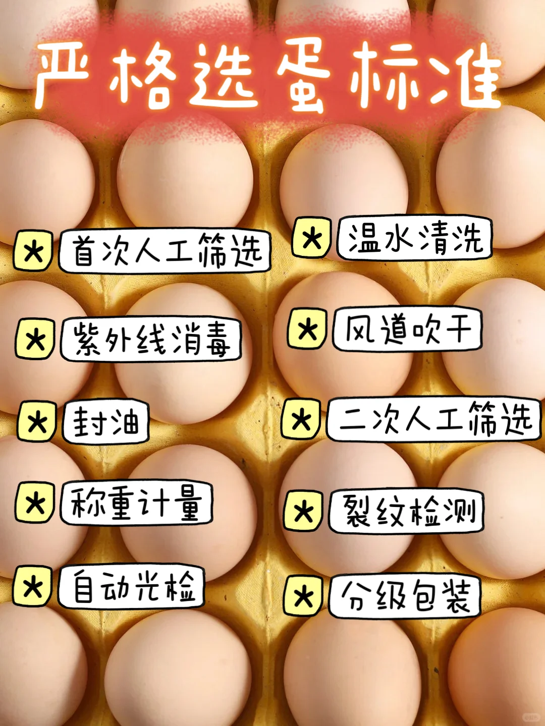 可生食鸡蛋?价格终于打下来了?19.9