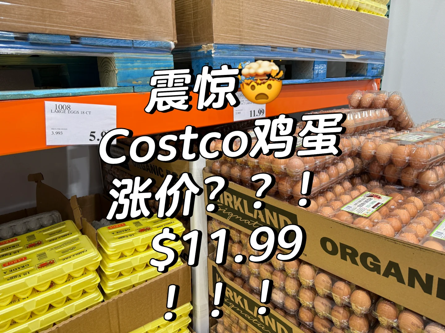 Costco۸