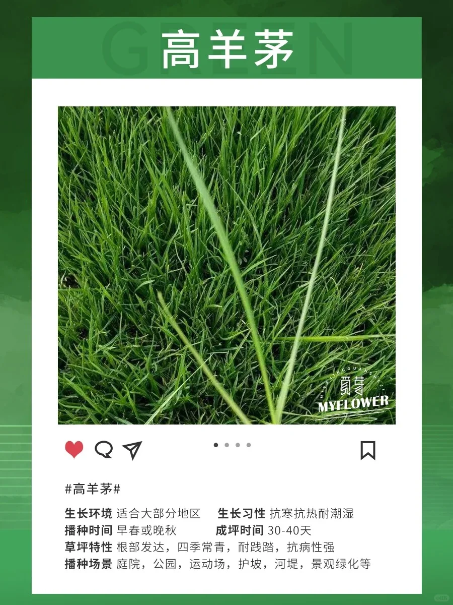 ֲʼǡ?é