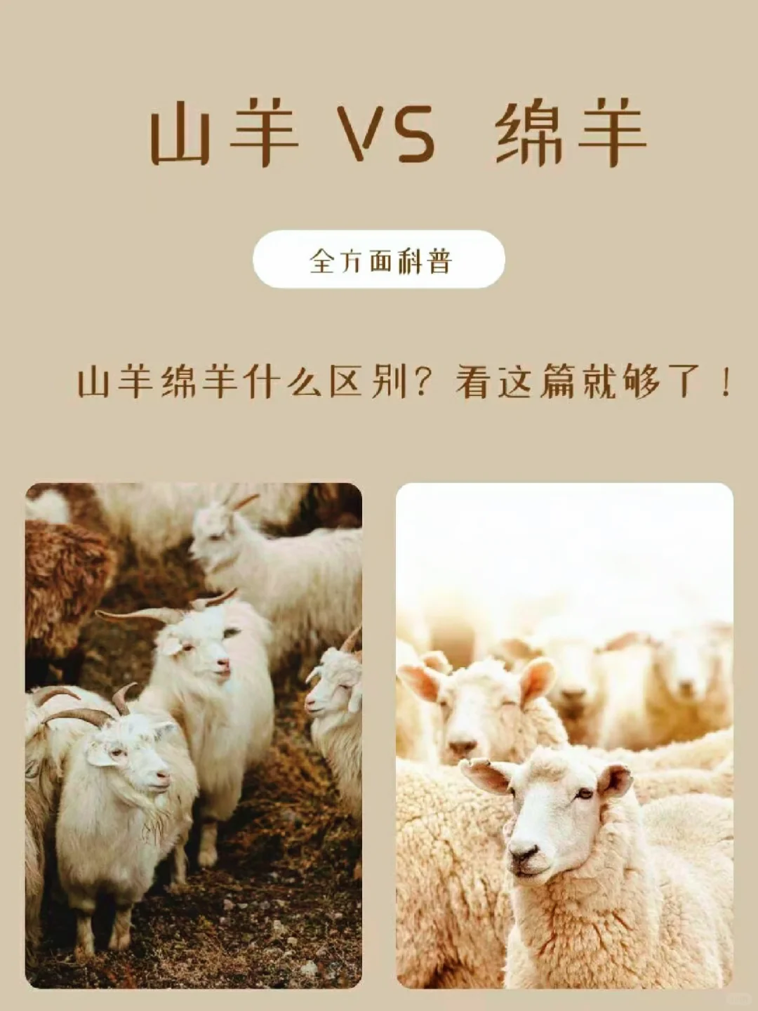?��һ�Ŀ���ɽ�����img.bim99.cn><p style=