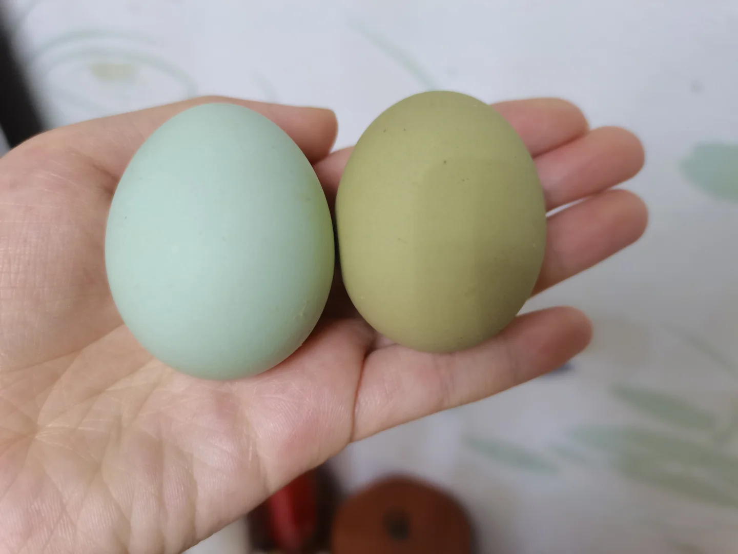 怎么可以有这么完美的鸡蛋
