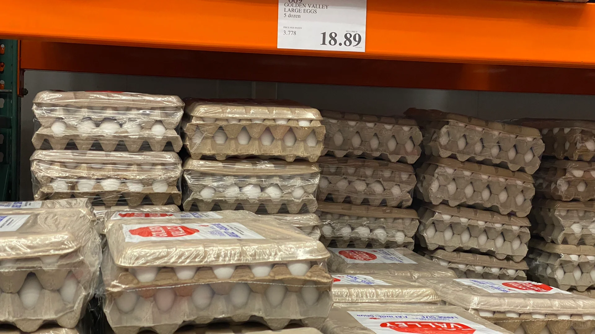 Costco۸