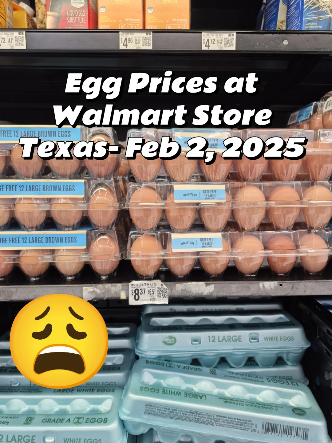 Egg prices are too high! ۸̫
