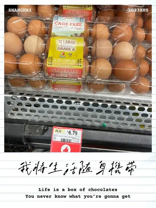 ǵ