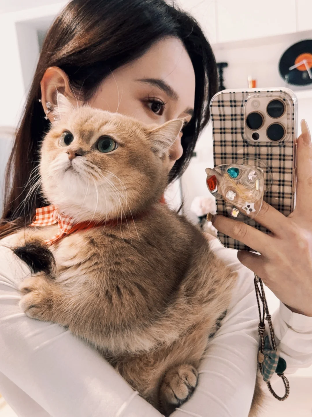 不要哄抬猪价