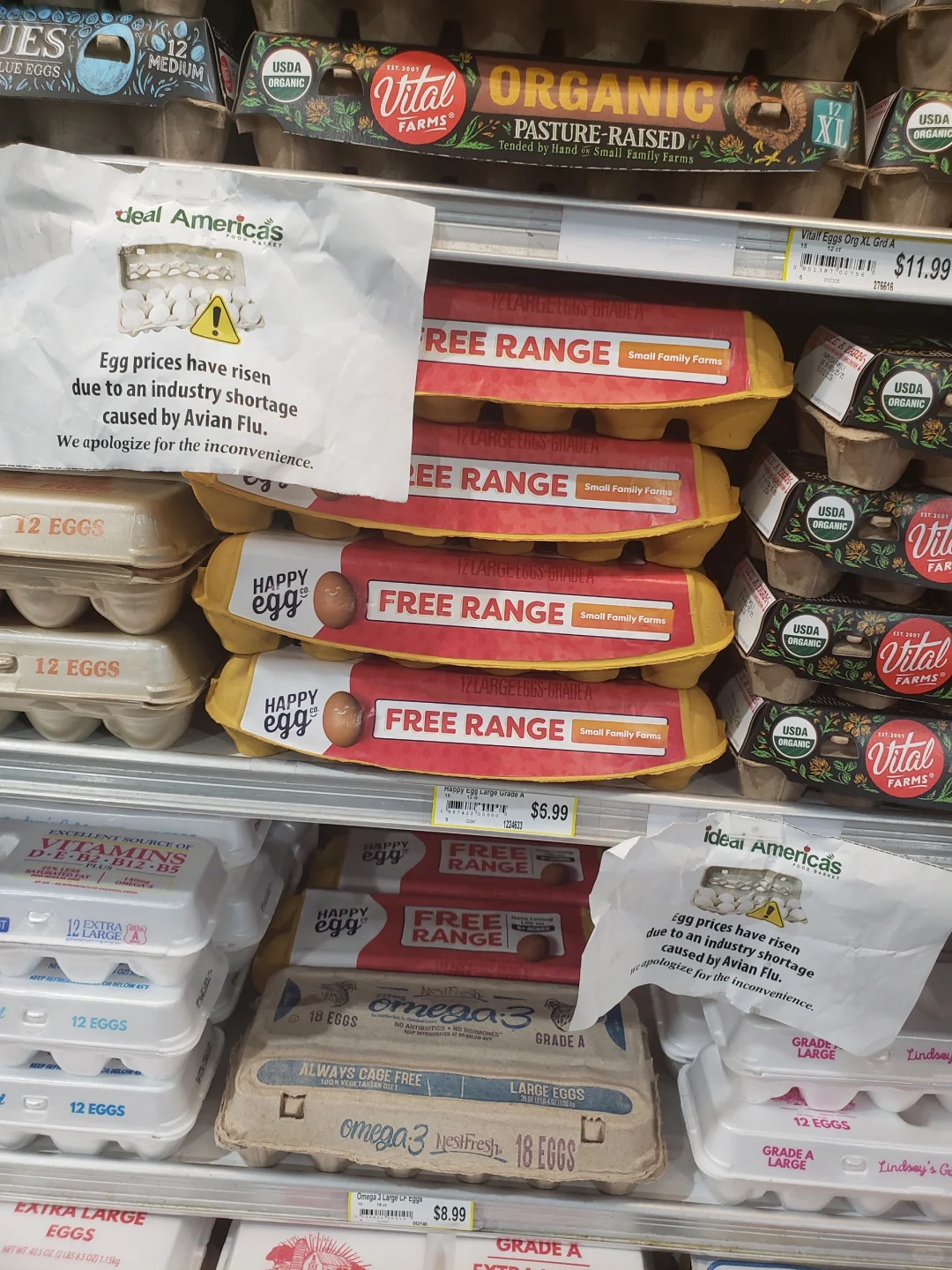 Egg prices in America ۸