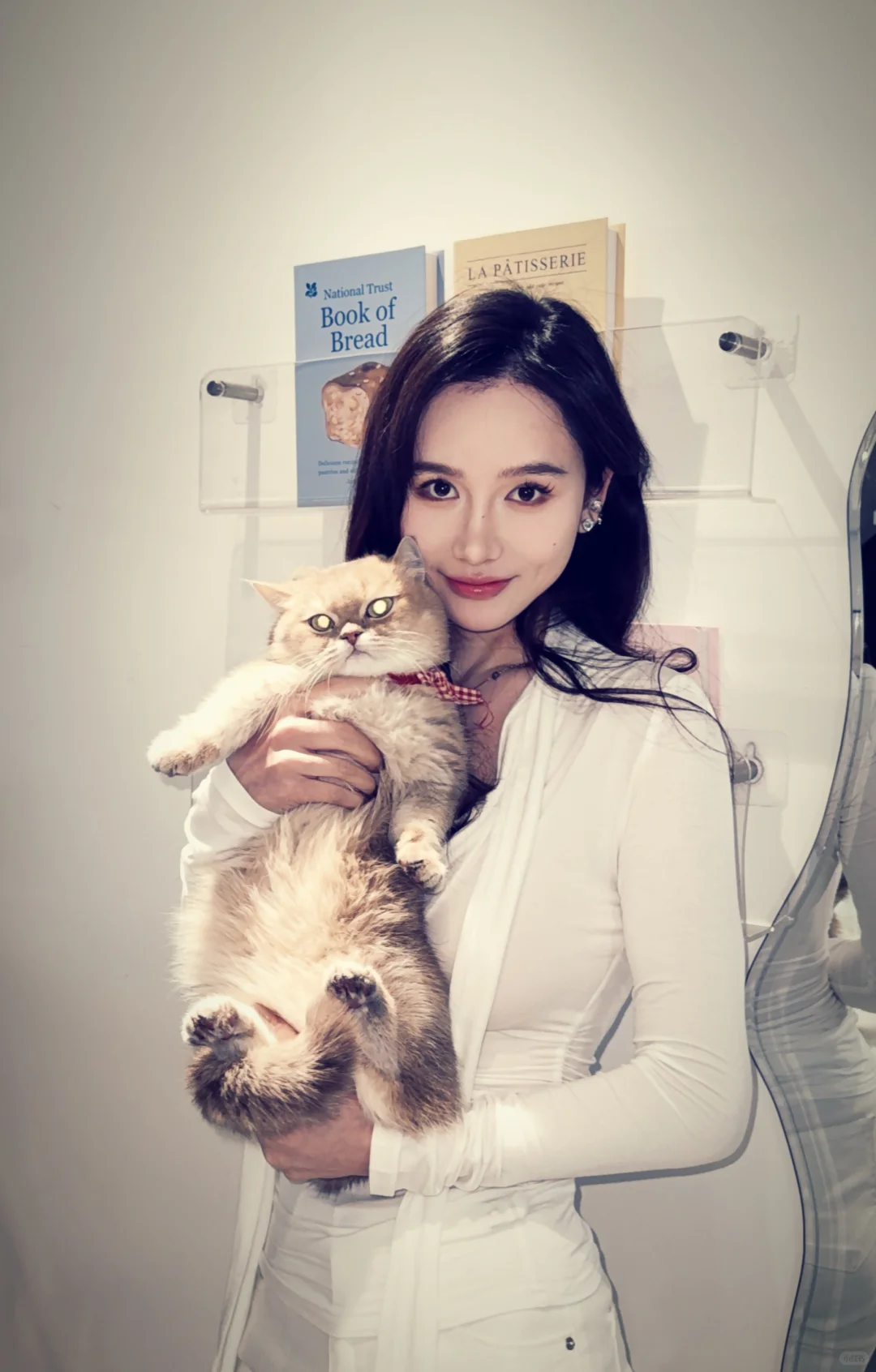 不要哄抬猪价