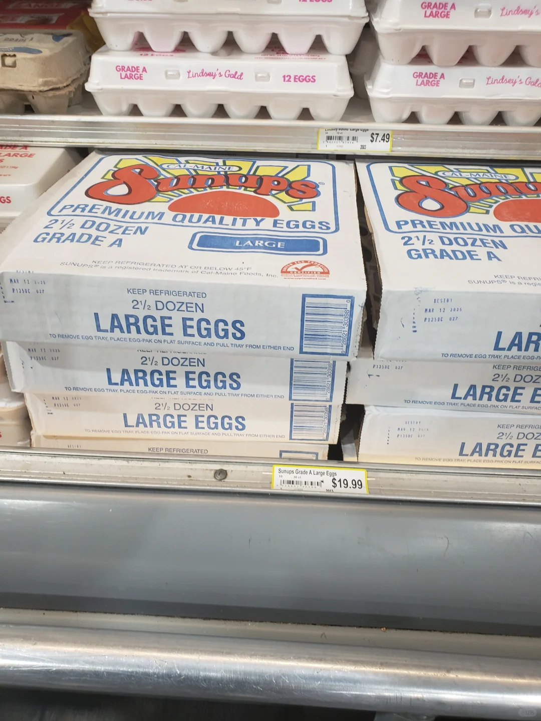 Egg prices in America ۸