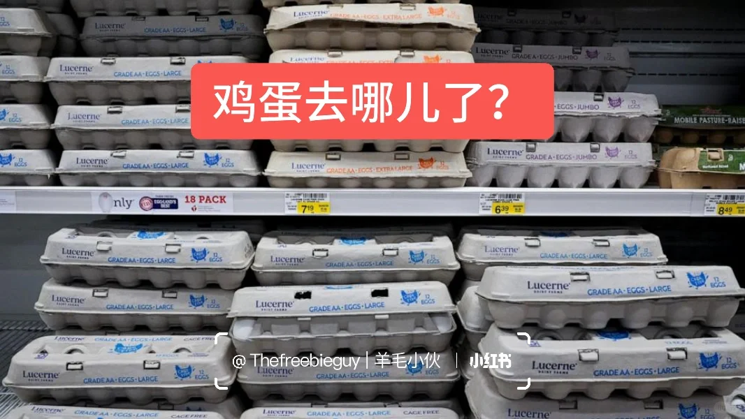 10 öֵ 4 Ԫļ