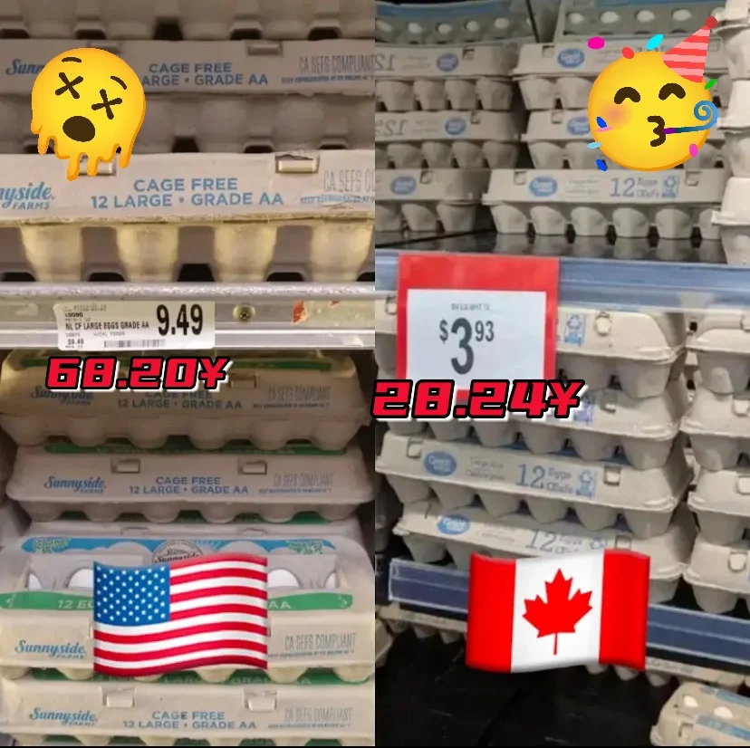 ô۸Ƚ ?