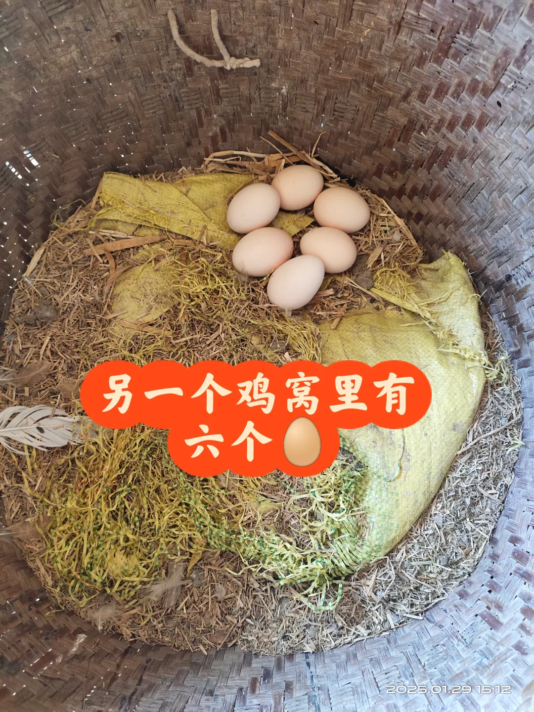 ũԼҼԲҲ