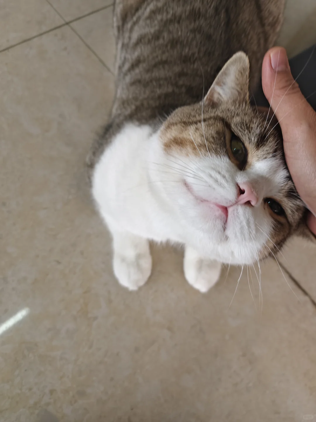 ǧկʳ