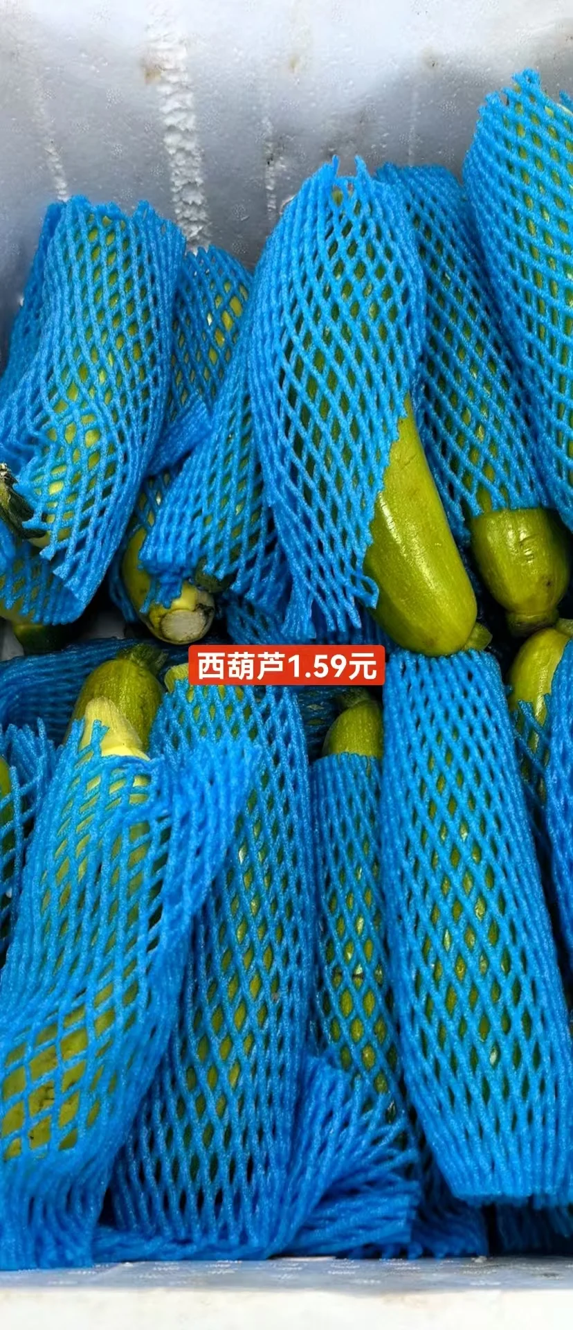 ճв˼
