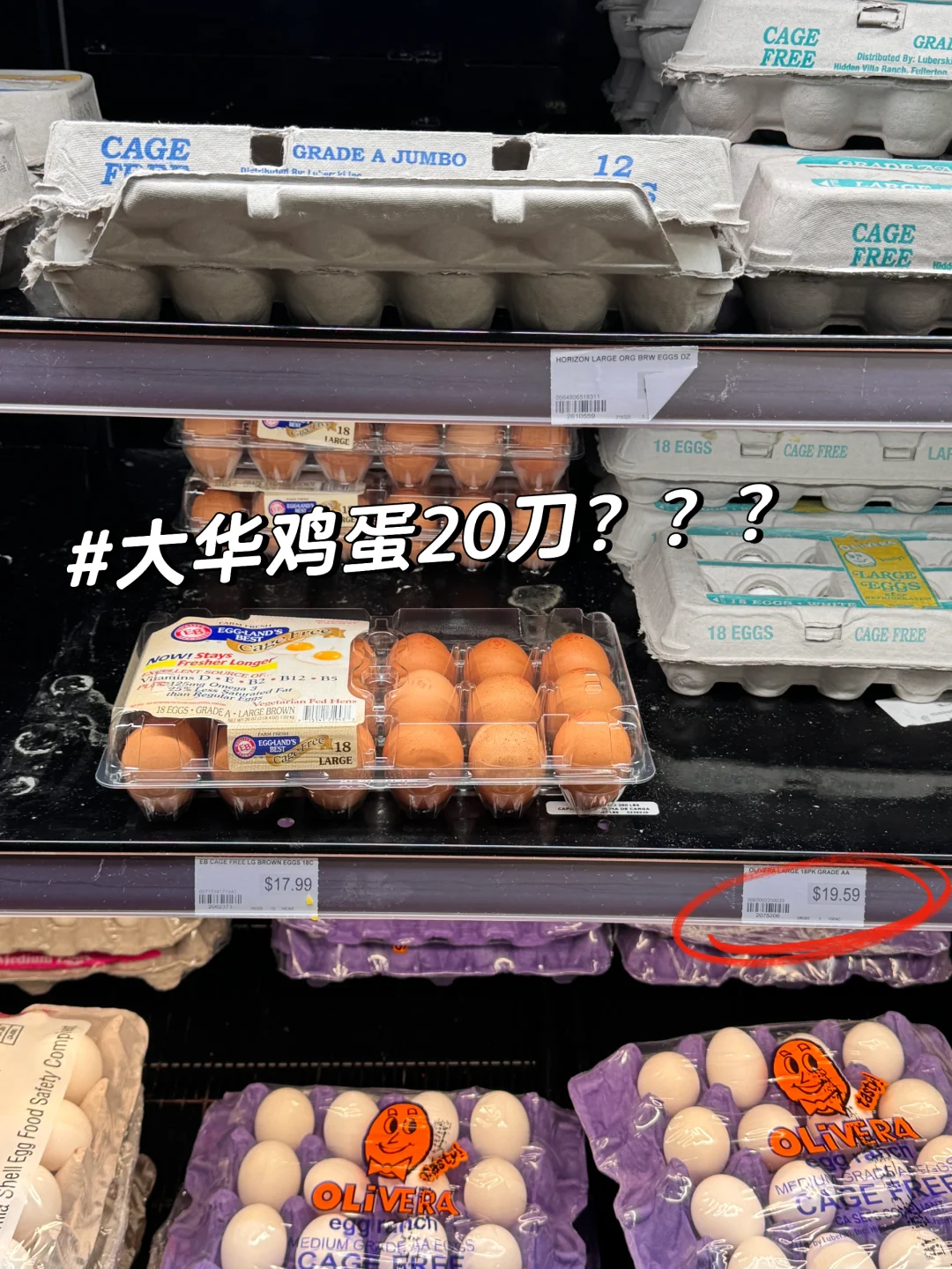 20ļû ?