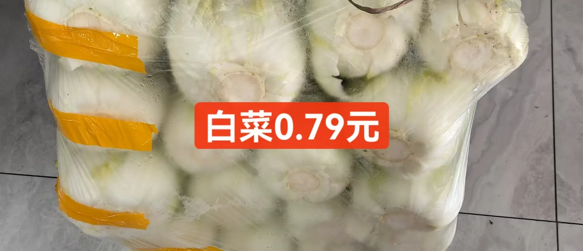 ճв˼