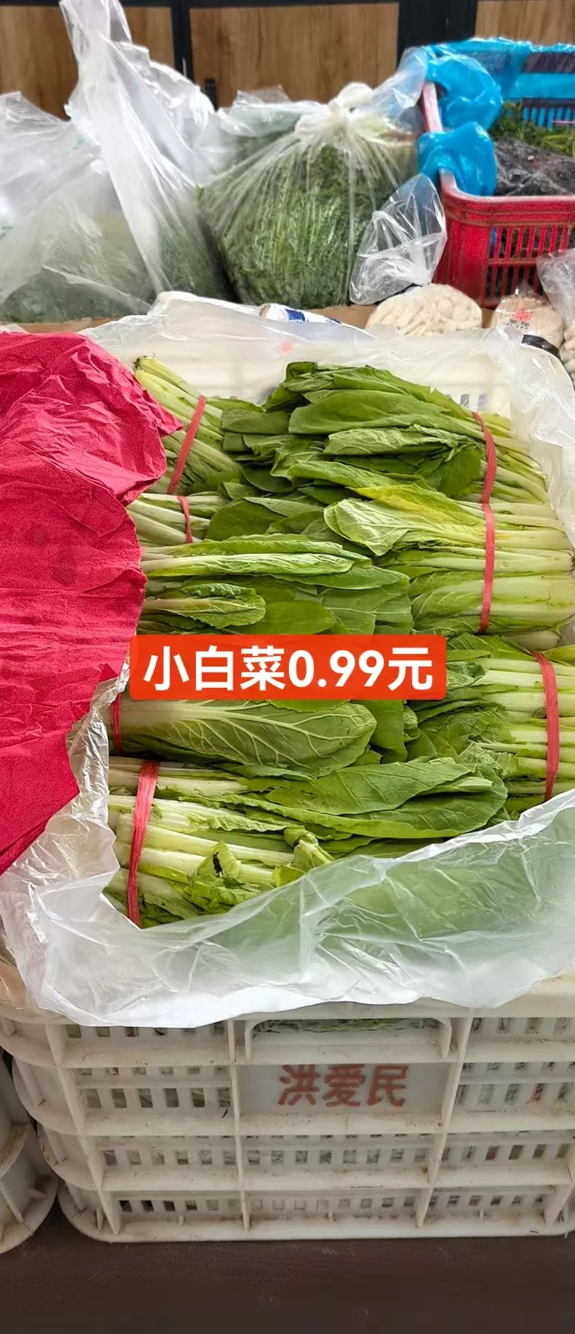 ճв˼