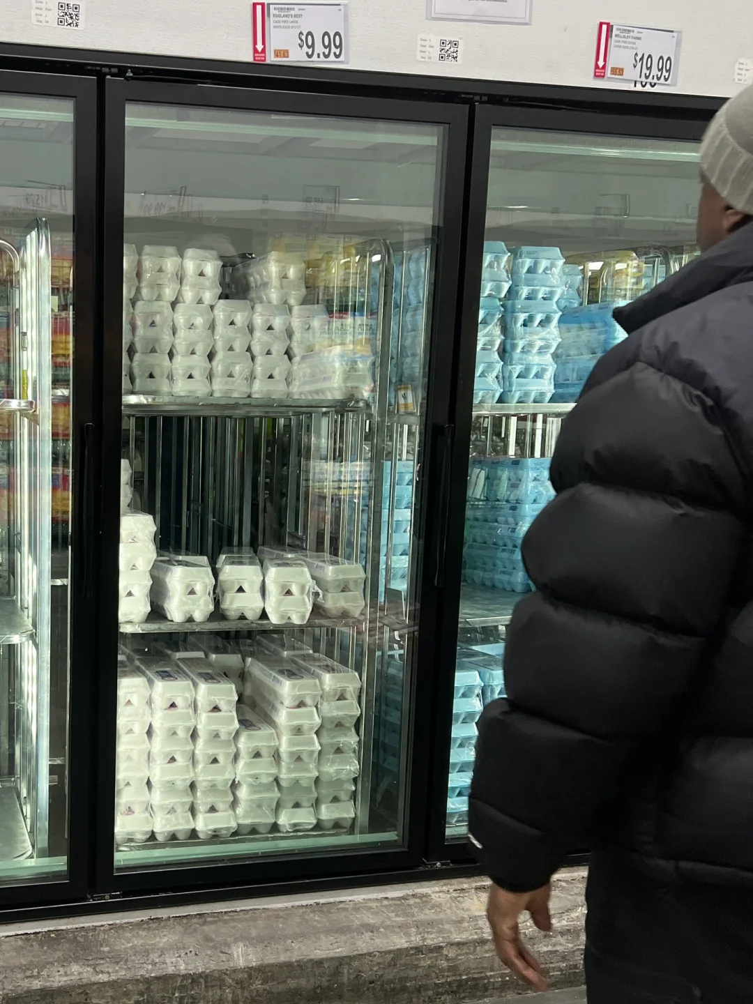 ȥ򼦵?