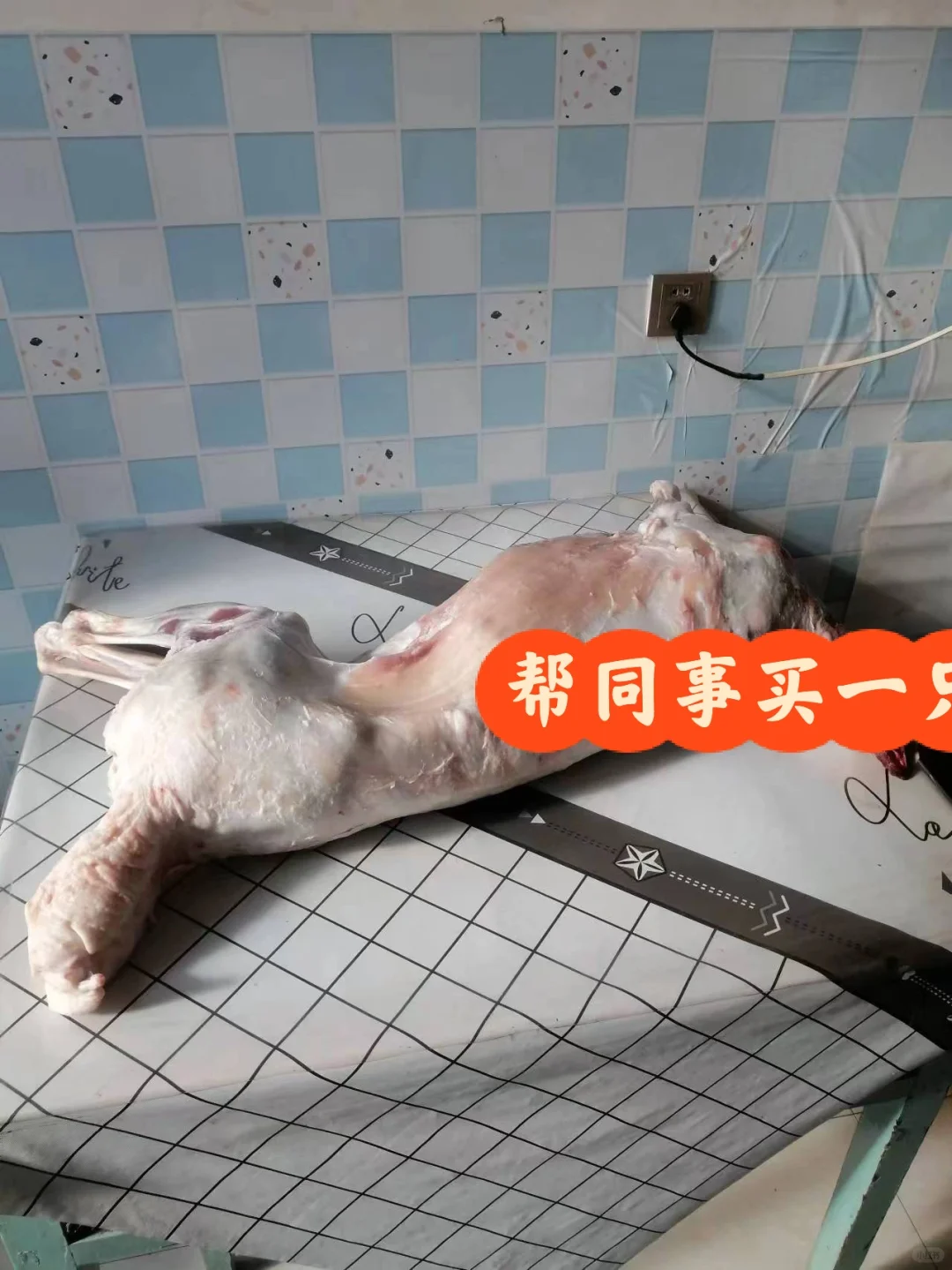 又帮同事买了一只羊