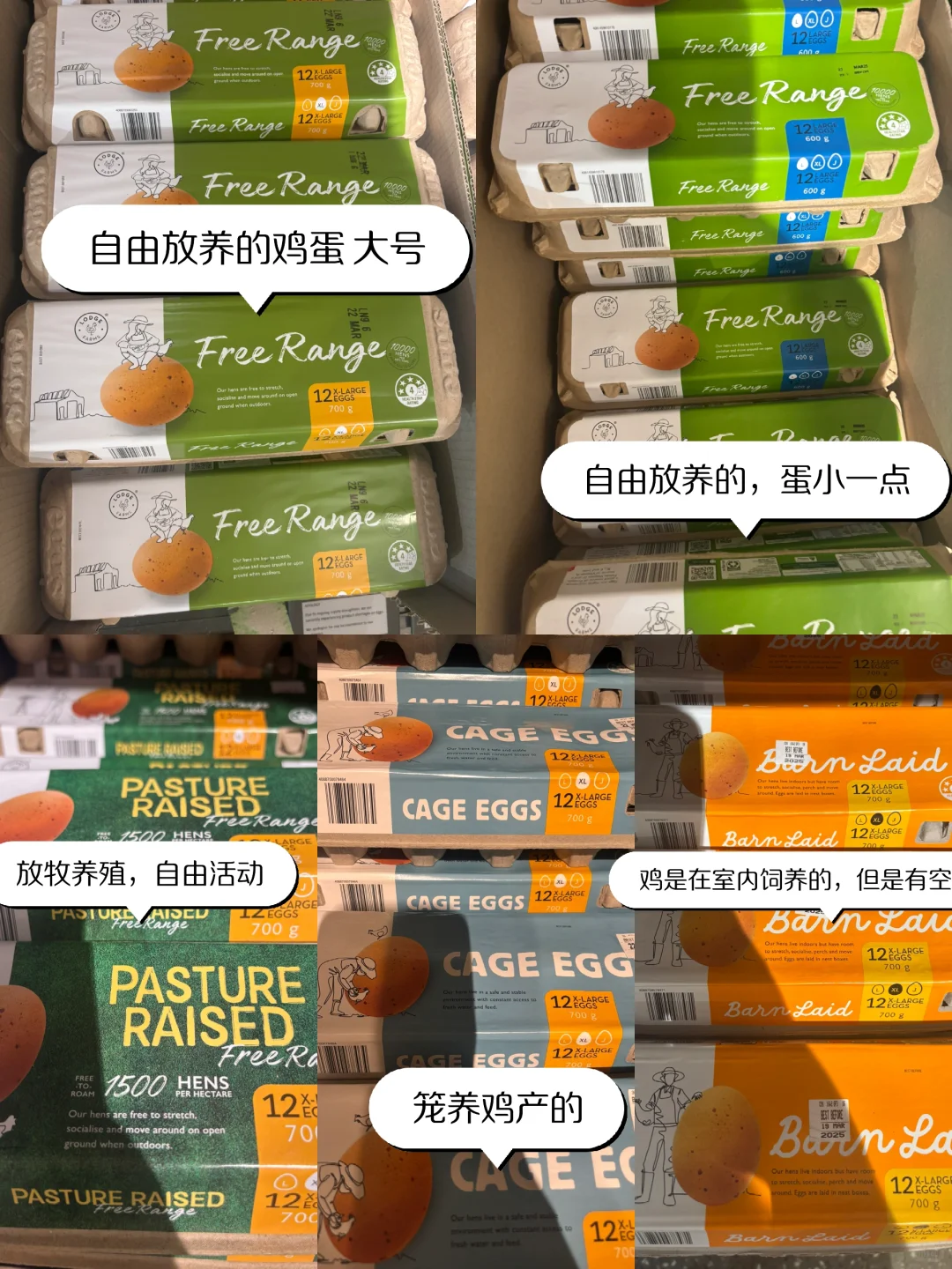 Aldi޼
