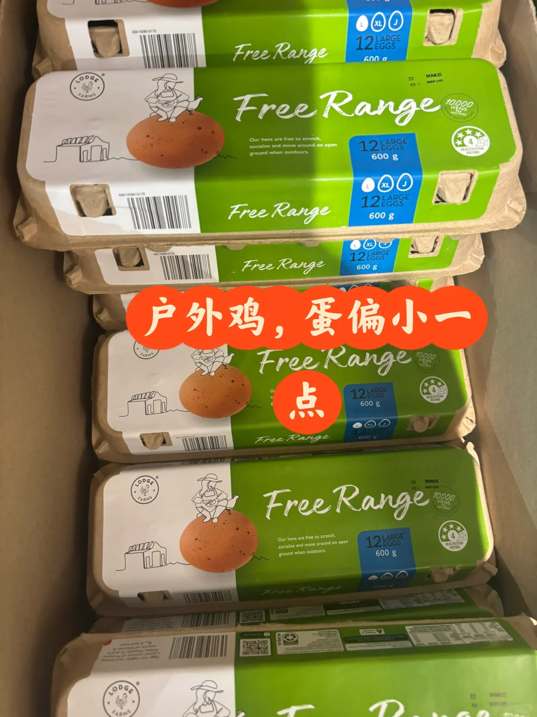Aldi޼