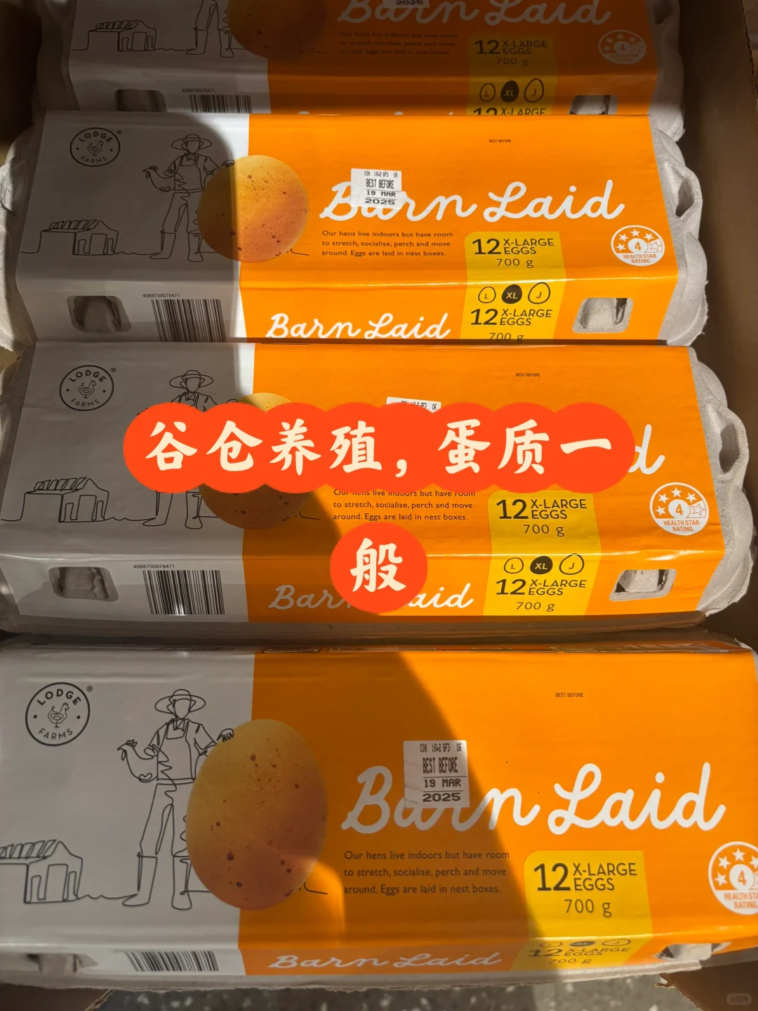 Aldi޼