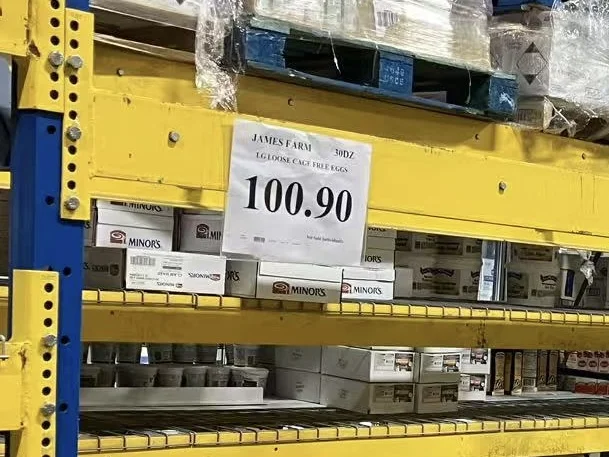 ļ?