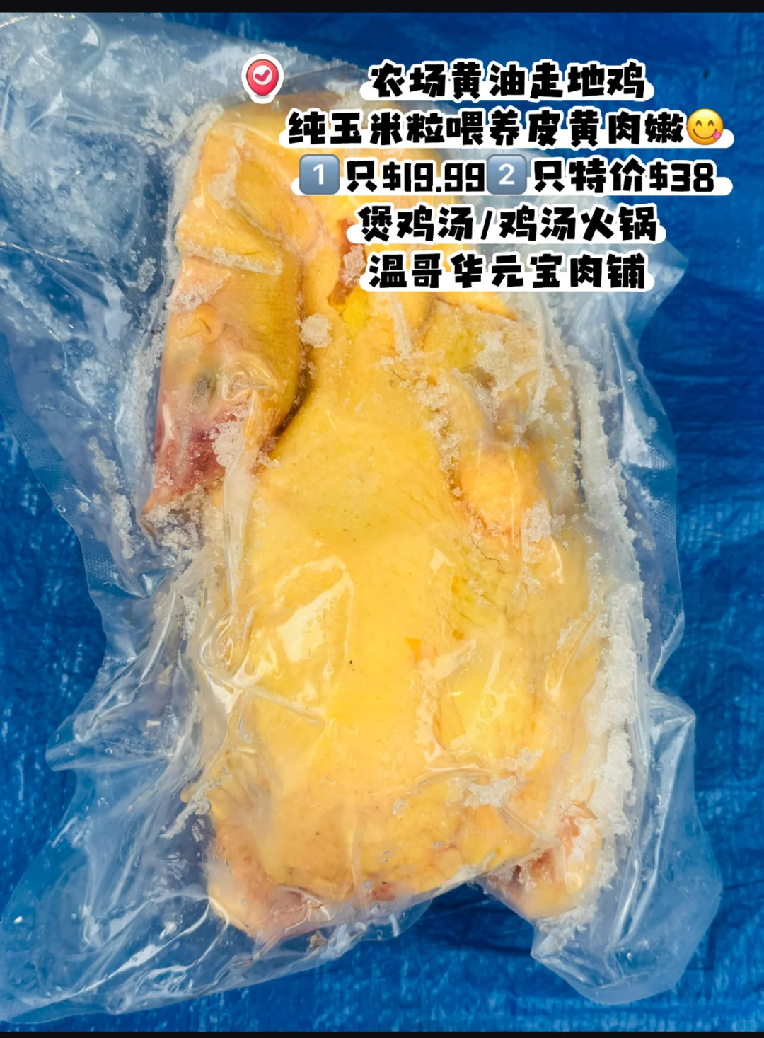 ţ??ѩţ?ţ?Ы