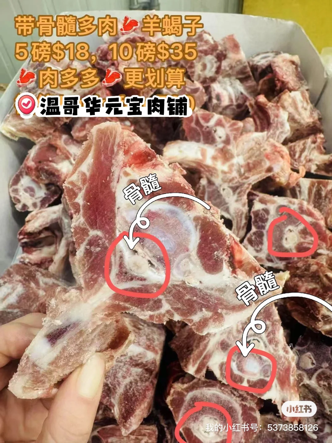 ţ??ѩţ?ţ?Ы