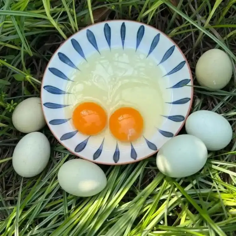 ڼͨĲ