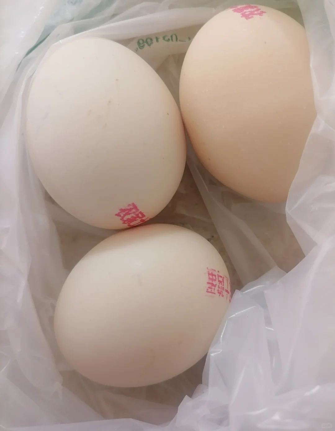 ũ